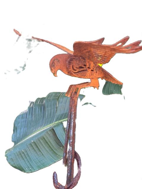 images/RS KAHU10.JPG